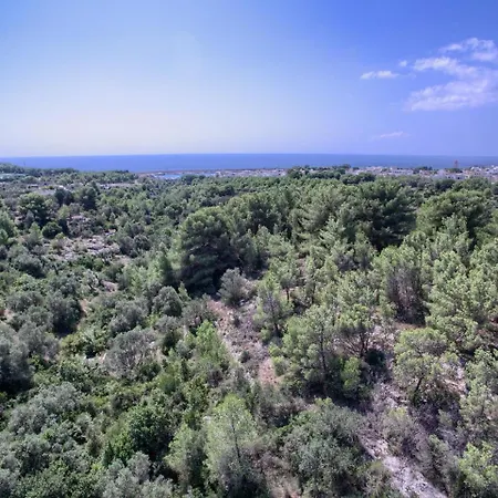La Macchia By Lovesud Σπίτι διακοπών Santa Maria di Leuca
