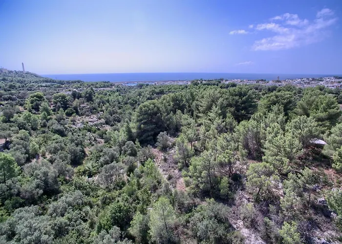 La Macchia By Lovesud בית נופש Santa Maria di Leuca